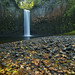 Bret Randall Photo 9