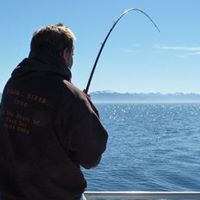 Timothy Davidson Photo 22