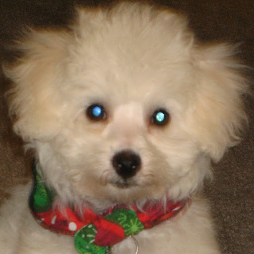 Debra Conlin Photo 9