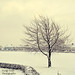 Kelly Snow Photo 6