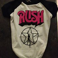 Traci Wiley Photo 18