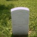 William Reynolds Photo 11