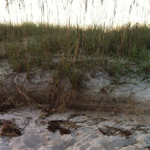 Cynthia Heath Photo 12