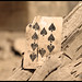 Laura Swenson Photo 35