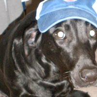 Anne Christensen Photo 6 Anne Christensen Photo 6