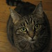 Lillian Bunch Photo 10