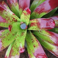 Stephen Metcalf Photo 18 Stephen Metcalf Photo 18