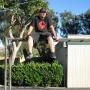David Mckay Photo 26