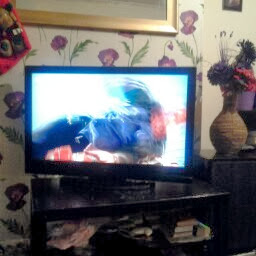 Joseph Maynard Photo 22