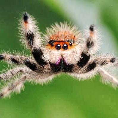 Amelia Green Photo 15