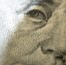 Edward Greene Photo 36
