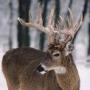 David Spradlin Photo 8