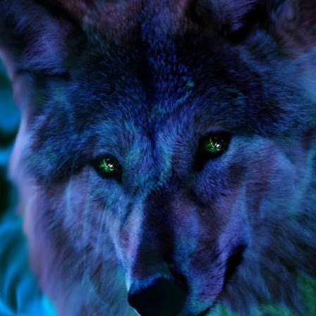 Andrew Werner Photo 22