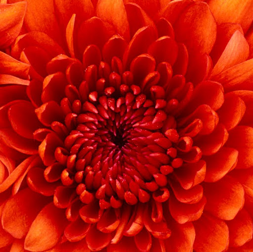 Claudia Smith Photo 6