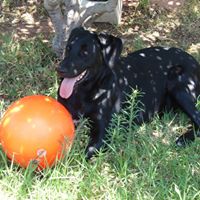 Betsy Stephens Photo 11