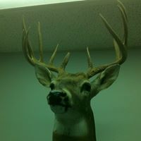 Scott Minter Photo 3