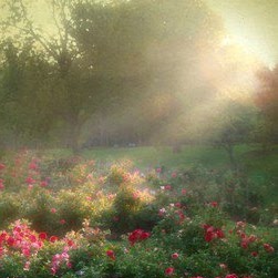 Terri Rogers Photo 11