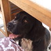 Betty Springer Photo 16