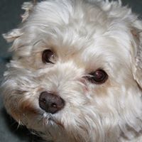 Beverly Swain Photo 8