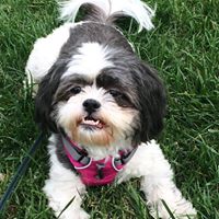 Catherine King Photo 42