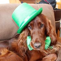 Judith Brock Photo 24