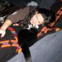 Cynthia Ryan Photo 11