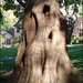 Susan Berryman Photo 14