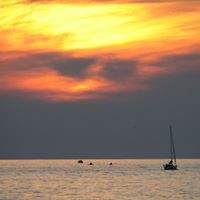 Darlene Davidson Photo 15