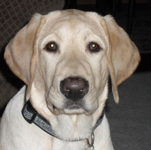 Tim Elliott Photo 37