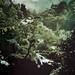 Patrick Duarte Photo 32