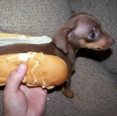 Cheryl Pierce Photo 33