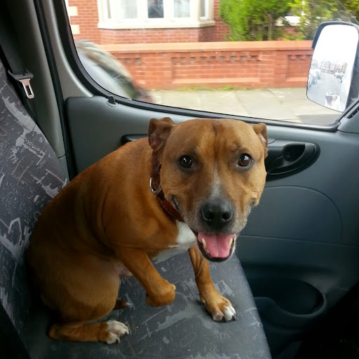 Gary O'Donnell Photo 17