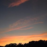 Kristy Williamson Photo 11