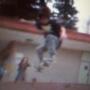 Adam Goebel Photo 18
