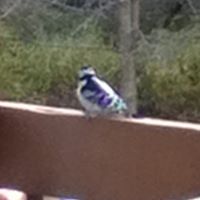 Julia Tucker Photo 19