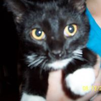 Dawn Monroe Photo 15