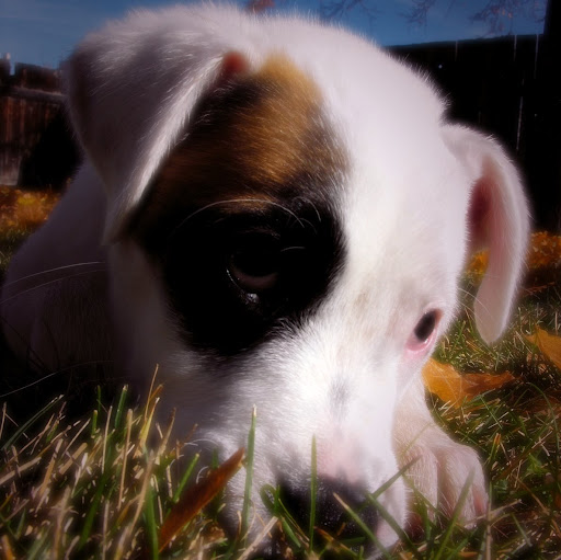 Teresa Davidson Photo 24