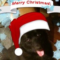 Roxanne Rich Photo 24