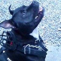 John Conners Photo 19