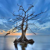 Julie Kennedy Photo 33