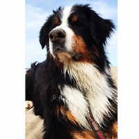 Shelly Fortin Photo 7