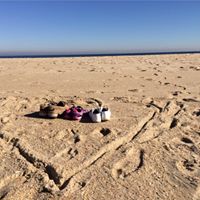 Sheila Colon Photo 17