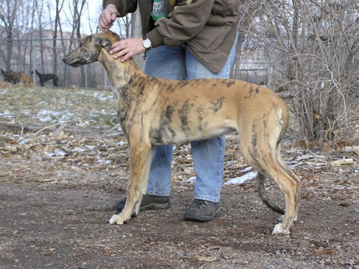 Linda Phipps Photo 33