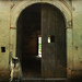 Martin Wolf Photo 37