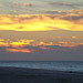 Dawn Mays Photo 39