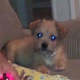 Julie Gaines Photo 36