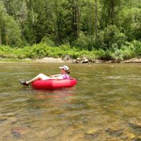 Rachel Watkins Photo 19