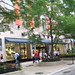 Frank Doughty Photo 9