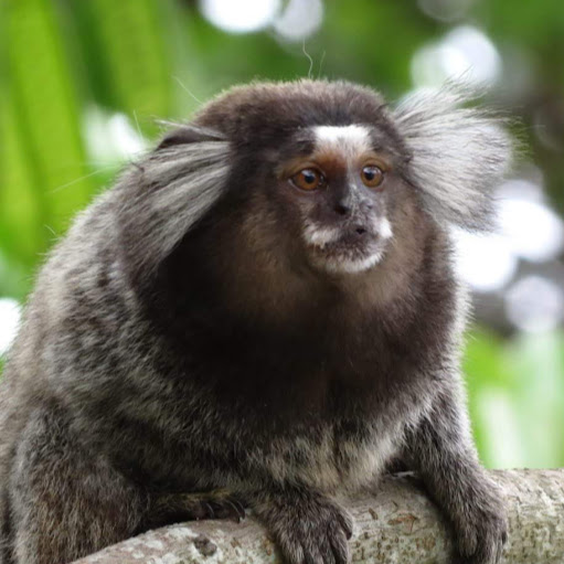 Marcus Chance Photo 2