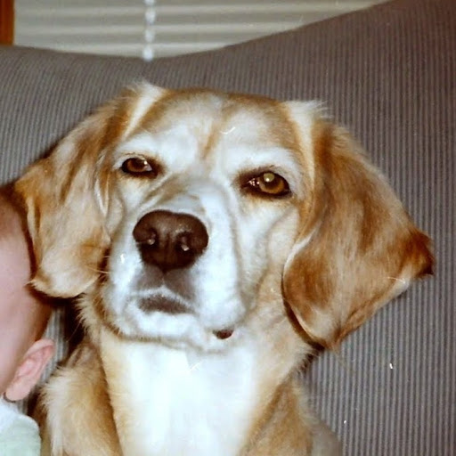 John Erickson Photo 32 John Erickson Photo 32